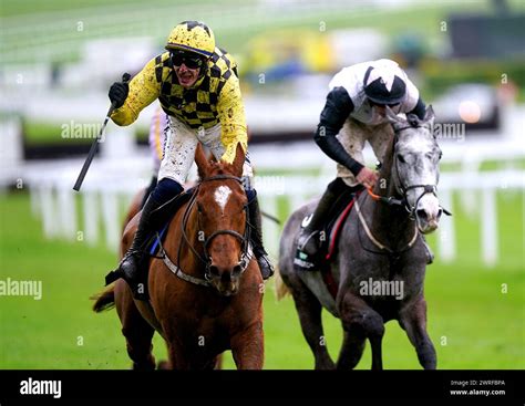 cheltenham festival champion hurdle|Cheltenham Festival 2024 LIVE: Champion Hurdle, races, .